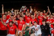 27 October 2024; Darragh O'Donovan of Doon lifts the John Daly Cup and celebrates with teammates after the Limerick County Senior Club Hurling Championship final match between Na Piarsaigh and Doon at TUS Gaelic Grounds in Limerick. Photo by Ray McManus/Sportsfile