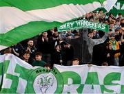 28 October 2024; Bray Wanderers supporters before the SSE Airtricity Men's First Division play-off semi-final second leg match between UCD and Bray Wanderers at UCD Bowl in Dublin. Photo by Stephen McCarthy/Sportsfile