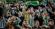 28 October 2024; Bray Wanderers supporters celebrate after the SSE Airtricity Men's First Division play-off semi-final second leg match between UCD and Bray Wanderers at UCD Bowl in Dublin. Photo by Stephen McCarthy/Sportsfile