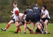 30 October 2024; Fionn Carey of Midlands during the BearingPoint Shane Horgan Cup Round 2 match between Metro and Midlands at Cill Dara RFC in Kildare. Photo by Piaras Ó Mídheach/Sportsfile