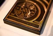 8 November 2024; A general view of Sportsfile photographer David Fitzgerald's award for Best GAA Photograph during the 2023 GAA MacNamee Awards at Croke Park in Dublin. Photo by Piaras Ó Mídheach/Sportsfile