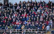 10 November 2024; Supporters during the AIB Connacht GAA Senior Club Football Championship quarter-final match between Corofin and Pádraig Pearses at Tuam Stadium in Tuam, Galway. Photo by Piaras Ó Mídheach/Sportsfile