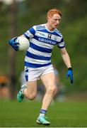 10 November 2024; Jack Cahalane of Castlehaven during the AIB Munster GAA Senior Club Football Championship quarter-final match between Dr Crokes and Castlehaven at Lewis Road in Killarney, Kerry. Photo by Michael P Ryan/Sportsfile