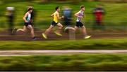 17 November 2024; Runners from left, Sean Quinn of Dundrum South Dublin AC, Dublin; Jonas Stafford of UCD, Dublin; and Noah Harris of Parnell AC; during the 123.ie National Senior, Junior and Juvenile Even Age Cross Country Championships at Castle Irvine Estate in Irvinestown, Fermanagh. Photo by Ramsey Cardy/Sportsfile