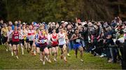 17 November 2024; A general view during the Senior Men's race during the 123.ie National Senior, Junior and Juvenile Even Age Cross Country Championships at Castle Irvine Estate in Irvinestown, Fermanagh. Photo by Ramsey Cardy/Sportsfile