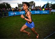 17 November 2024; Efrem Gidey of Clonliffe Harriers AC during the 123.ie National Senior, Junior and Juvenile Even Age Cross Country Championships at Castle Irvine Estate in Irvinestown, Fermanagh. Photo by Ramsey Cardy/Sportsfile