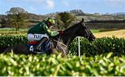 24 November 2024; Stumptown, with Keith Donoghue up, jumps the laurel hedge on their way to winning the Colm Quinn BMW Risk Of Thunder Steeplechase during day two of the Punchestown Winter Festival at Punchestown Racecourse in Kildare. Photo by Seb Daly/Sportsfile