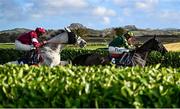 24 November 2024; Stumptown, right, with Keith Donoghue up, jumps the laurel hedge on their way to winning the Colm Quinn BMW Risk Of Thunder Steeplechase during day two of the Punchestown Winter Festival at Punchestown Racecourse in Kildare. Photo by Seb Daly/Sportsfile