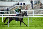 24 November 2024; Stumptown, with Keith Donoghue up, on their way to winning the Colm Quinn BMW Risk Of Thunder Steeplechase during day two of the Punchestown Winter Festival at Punchestown Racecourse in Kildare. Photo by Seb Daly/Sportsfile