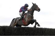 24 November 2024; Farren Glory, with Jack Kennedy up, during the BetVictor Craddockstown Novice Steeplechase on day two of the Punchestown Winter Festival at Punchestown Racecourse in Kildare. Photo by Seb Daly/Sportsfile