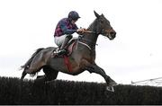 24 November 2024; Farren Glory, with Jack Kennedy up, during the BetVictor Craddockstown Novice Steeplechase on day two of the Punchestown Winter Festival at Punchestown Racecourse in Kildare. Photo by Seb Daly/Sportsfile