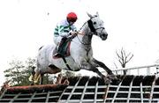 24 November 2024; Riviere D'etel, with Jack Kennedy up, during the Frontline Security Grabel Mares Hurdle on day two of the Punchestown Winter Festival at Punchestown Racecourse in Kildare. Photo by Seb Daly/Sportsfile