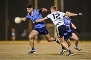 27 November 2024; James McCormack of UCD in action against Brian Horgan of UCD during the HE GAA Freshers Football League Division 1 final match between UCD and UL at Billings Park in UCD, Dublin. Photo by Piaras Ó Mídheach/Sportsfile