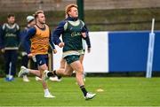 29 November 2024; Tane Edmed during an Australia rugby captain's run at Wanderers RFC in Dublin. Photo by Piaras Ó Mídheach/Sportsfile