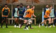 29 November 2024; Harry Wilson, front, during an Australia rugby captain's run at Wanderers RFC in Dublin. Photo by Piaras Ó Mídheach/Sportsfile
