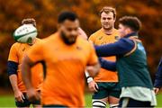 29 November 2024; Harry Wilson during an Australia rugby captain's run at Wanderers RFC in Dublin. Photo by Piaras Ó Mídheach/Sportsfile