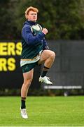 29 November 2024; Tane Edmed during an Australia rugby captain's run at Wanderers RFC in Dublin. Photo by Piaras Ó Mídheach/Sportsfile