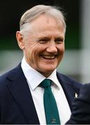 30 November 2024; Australia head coach Joe Schmidt before the Autumn Nations Series match between Ireland and Australia at the Aviva Stadium in Dublin. Photo by Ramsey Cardy/Sportsfile