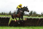 30 November 2024; Anzadam, with Paul Townend up, jump the last on their way to winning The WillowWarm Hurdle on day one of the Fairyhouse Winter Festival at Fairyhouse Racecourse in Meath. Photo by Matt Browne/Sportsfile