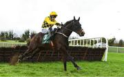 30 November 2024; Anzadam, with Paul Townend up, on their way to winning The WillowWarm Hurdle after jumping the last on day one of the Fairyhouse Winter Festival at Fairyhouse Racecourse in Meath. Photo by Matt Browne/Sportsfile