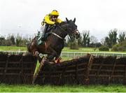 30 November 2024; Anzadam, with Paul Townend up, jump the last on their way to winning The WillowWarm Hurdle on day one of the Fairyhouse Winter Festival at Fairyhouse Racecourse in Meath. Photo by Matt Browne/Sportsfile