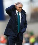 30 November 2024; Australia head coach Joe Schmidt before the Autumn Nations Series match between Ireland and Australia at the Aviva Stadium in Dublin. Photo by David Fitzgerald/Sportsfile