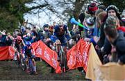 1 December 2024; Toon Erts of Belgium during the Men's Elite race at the UCI Cyclo-cross World Cup on the Sport Ireland Campus in Dublin. Photo by David Fitzgerald/Sportsfile