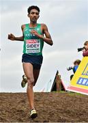 8 December 2024; Efrem Gidey of Ireland competes the senior men's race during the SPAR European Cross Country Championships 2024 at Dokuma Park in Antalya, Turkiye. Photo by Tyler Miller/Sportsfile