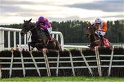 10 December 2024; Hey Sunshine, with Paul Townend up, clears the last, ahead of Cottesloe Sunshine, with Oakley Brown up, centre, who finished third, on their way to winning the Buy Your Punchestown Christmas Gift Mares Novice Hurdle at Punchestown Racecourse in Kildare. Photo by Thomas Doolin/Sportsfile