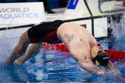 13 December 2024; Shane Ryan of Ireland during the Men's 50m backstroke final on day four of the World Aquatics Swimming Championships (25m) at the Duna Arena in Budapest, Hungary. Photo by Nikola Krstic/Sportsfile