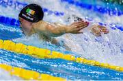 14 December 2024; Ellen Walshe of Ireland during the Women's 100m butterfly final on day five of the World Aquatics Swimming Championships (25m) at the Duna Arena in Budapest, Hungary. Photo by Nikola Krstic/Sportsfile