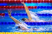 14 December 2024; Ellen Walshe of Ireland during the Women's 400m medley final on day five of the World Aquatics Swimming Championships (25m) at the Duna Arena in Budapest, Hungary. Photo by Nikola Krstic/Sportsfile