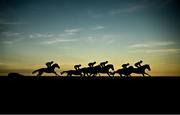 16 September 2024; Runners and riders during the Tote, Never Beaten By SP Race at the Laytown Races in Laytown, Meath. Photo by Ramsey Cardy/Sportsfile