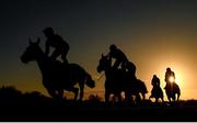 11 February 2024; Runners and riders during the William Hill Pro/Am Flat Race at Navan Racecourse in Meath. Photo by Seb Daly/Sportsfile