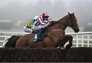 27 December 2024; Jeannot Lapin, with Ricky Doyle up, clear the last on their way to winning the Paddy Power Beginners Steeplechase on day two of the Leopardstown Christmas Festival at Leopardstown Racecourse in Dublin. Photo by David Fitzgerald/Sportsfile