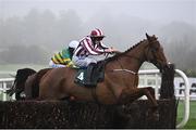 27 December 2024; Jeannot Lapin, with Ricky Doyle up, clear the last on their way to winning the Paddy Power Beginners Steeplechase on day two of the Leopardstown Christmas Festival at Leopardstown Racecourse in Dublin. Photo by David Fitzgerald/Sportsfile