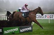 27 December 2024; Jeannot Lapin, with Ricky Doyle up, clear the last on their way to winning the Paddy Power Beginners Steeplechase on day two of the Leopardstown Christmas Festival at Leopardstown Racecourse in Dublin. Photo by David Fitzgerald/Sportsfile