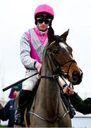 5 January 2025; Walk In Time, with Cian Micheal Quirke up, before The Racing Post Novice Steeplechase at Naas Racecourse in Kildare. Photo by Shauna Clinton/Sportsfile