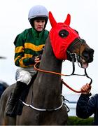 5 January 2025; Inthepocket, with Rachael Blackmore up, before The Racing Post Novice Steeplechase at Naas Racecourse in Kildare. Photo by Shauna Clinton/Sportsfile