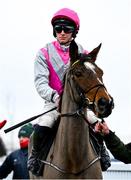 5 January 2025; Walk In Time, with Cian Micheal Quirke up, before The Racing Post Novice Steeplechase at Naas Racecourse in Kildare. Photo by Shauna Clinton/Sportsfile