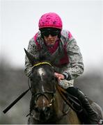 5 January 2025; Walk In Time, with Cian Micheal Quirke up, during the Racing Post Novice Steeplechase at Naas Racecourse in Kildare. Photo by Shauna Clinton/Sportsfile Photo by Shauna Clinton/Sportsfile