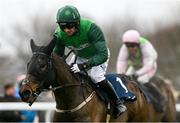 5 January 2025; Fun Fun Fun, with Patrick Mullins up, during the The Irish Stallion Farms EBF Mares Beginners Steeplechase at Naas Racecourse in Kildare. Photo by Shauna Clinton/Sportsfile