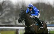 5 January 2025; Ile Atlantique, with Paul Townend up, during the Racing Post Novice Steeplechase at Naas Racecourse in Kildare. Photo by Shauna Clinton/Sportsfile