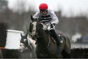 5 January 2025; The Other Mozzie, with Conor Stone-Walsh up, on their way to winning during the The Race And Stay Handicap Steeplechase at Naas Racecourse in Kildare. Photo by Shauna Clinton/Sportsfile