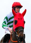 5 January 2025; Firefox, with Sam Ewing up, before The Racing Post Novice Steeplechase at Naas Racecourse in Kildare. Photo by Shauna Clinton/Sportsfile