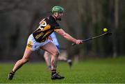 11 January 2025; Tommy Walsh of Kilkenny during the Intercounty Hurling Challenge Match between Kilkenny and Waterford at Piltown GAA Club in Kilkenny. Photo by Tyler Miller/Sportsfile