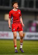 15 January 2025; Alex Morley of CUS celebrates after kicking a conversion during the Bank of Ireland Leinster Rugby Boys Schools Vinnie Murray Cup quarter-final match between CUS and Presentation College, Bray at Energia Park in Dublin. Photo by Tyler Miller/Sportsfile