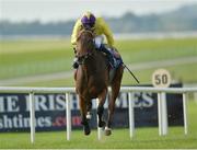 29 September 2013; My Titania, with Declan McDonogh up, on their way to winning the C.L. Weld Park Stakes. Curragh Racecourse, The Curragh, Co. Kildare. Picture credit: Matt Browne / SPORTSFILE