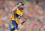28 September 2013; Patrick Donnellan, Clare, celebrates a successful hook block during the second half. GAA Hurling All-Ireland Senior Championship Final Replay, Cork v Clare, Croke Park, Dublin. Picture credit: Stephen McCarthy / SPORTSFILE