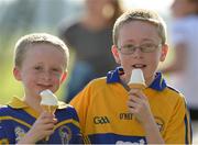 29 September 2013; Clare supporters, seven year old, Ian and his brother, ten year old, Tom Taaffe, from Tubber, Co. Clare. Curragh Racecourse, The Curragh, Co. Kildare. Picture credit: Matt Browne / SPORTSFILE